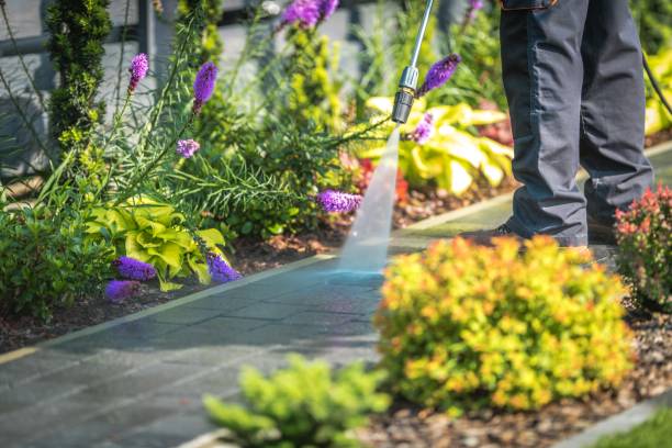 Best Animal Enclosure Cleaning  in Waxahachie, TX